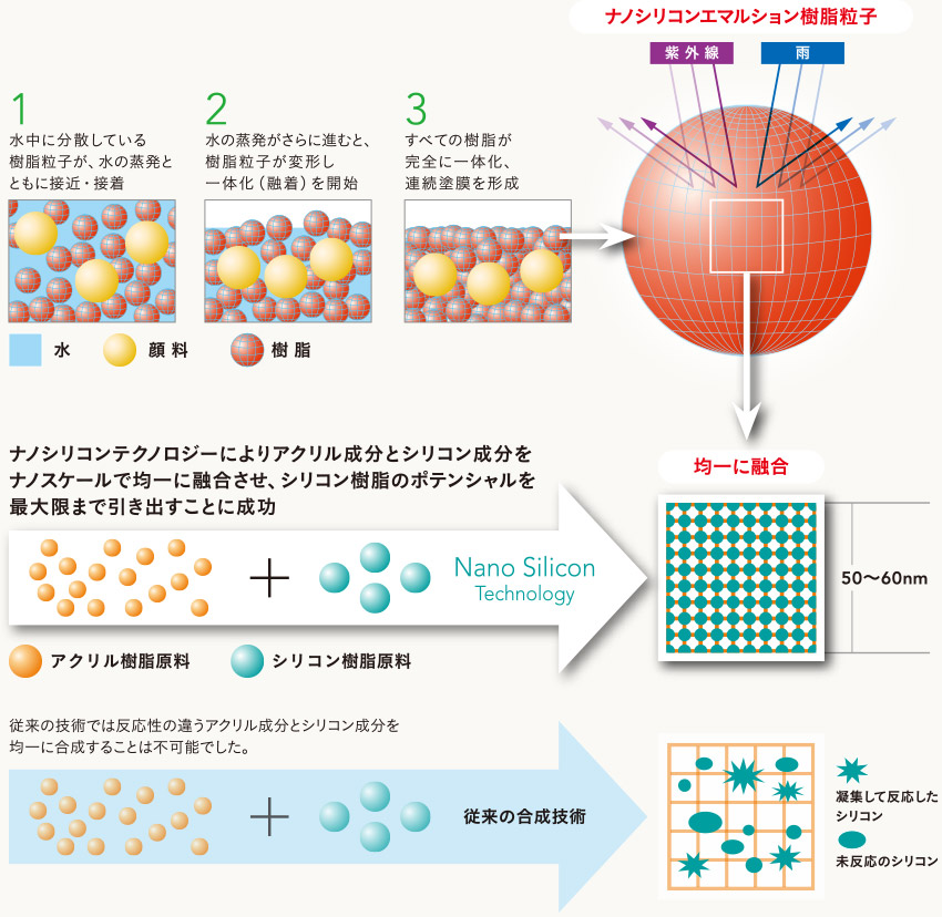 水系塗料が塗膜になる過程