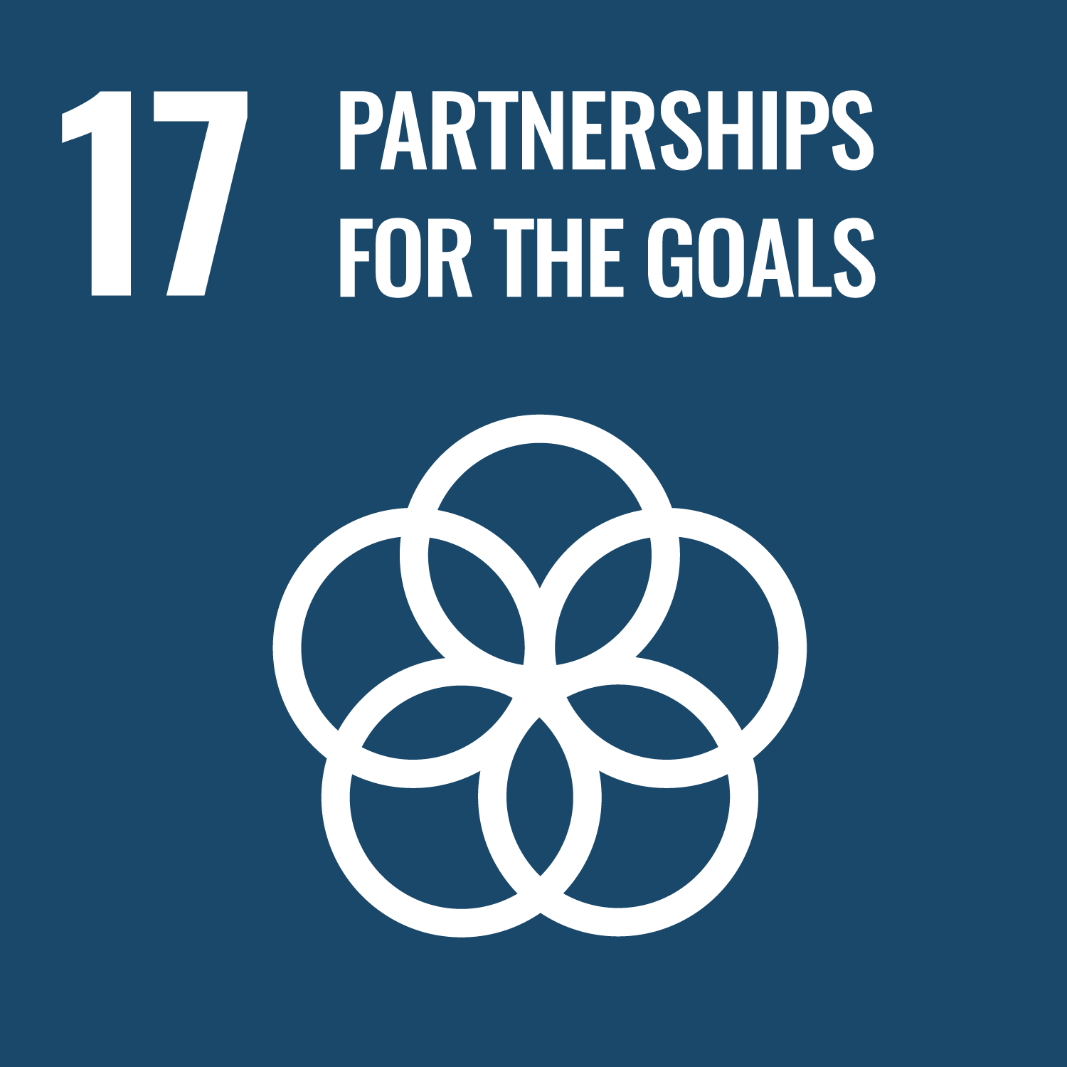 17.Partnerships for the Goals